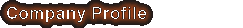 Company Profile